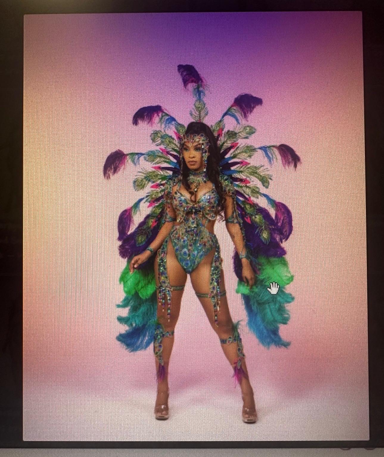Mirage costume wings for resale